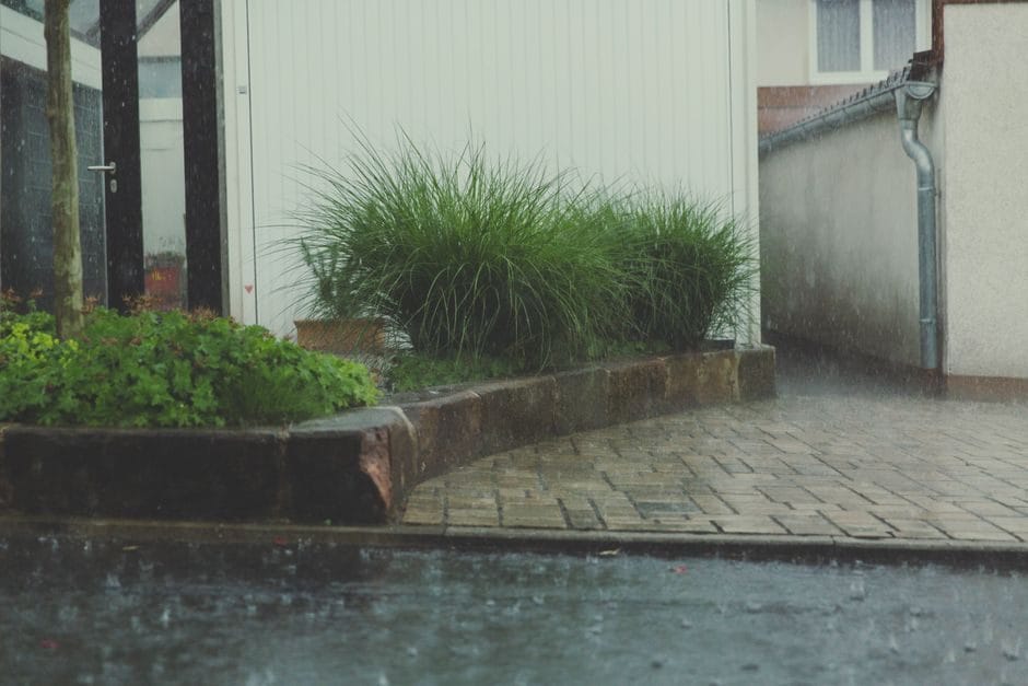 A green water butt collecting rainwater from a downpipe beside a garden wall