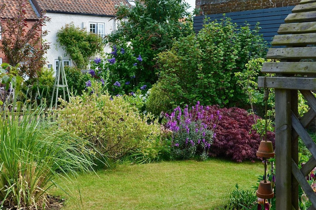 The Late-June Pivot: Jobs That Decide Whether Your Garden Peaks or Stalls
