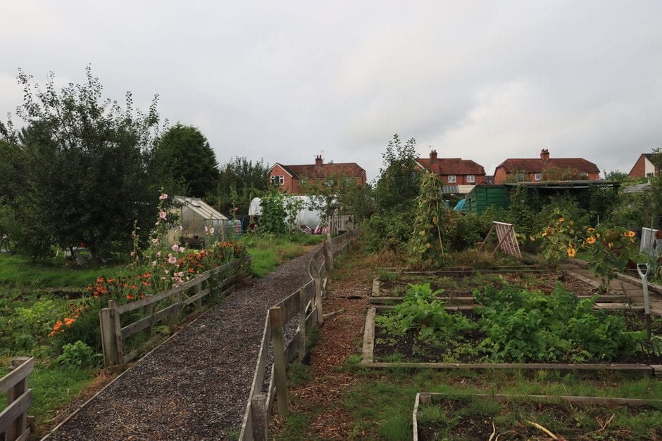 Building a Simple Raised Bed from Scaffold Boards