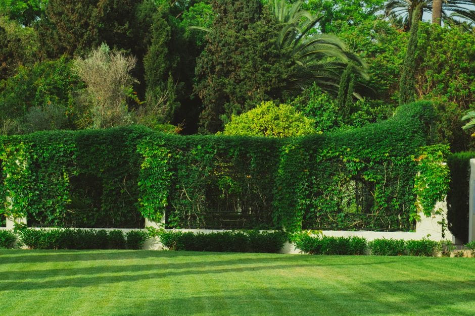 Planting Bare-Root Hedging and Trees in the Dormant Season