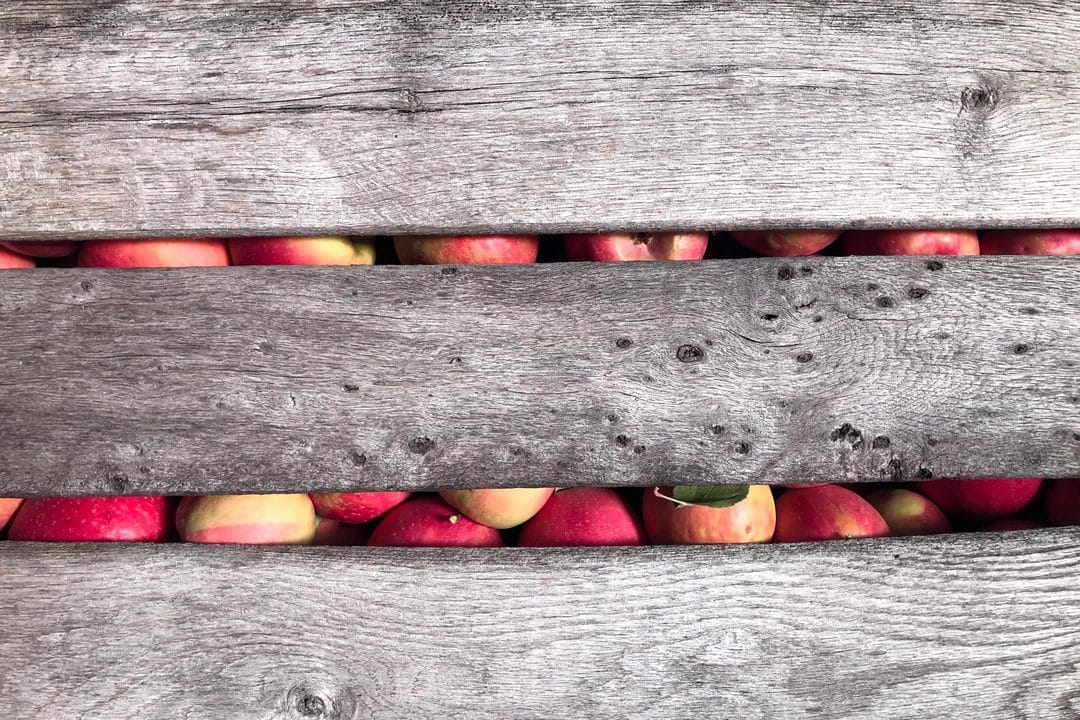 Storing This Year's Apple and Plum Harvest So None of It Goes to Waste