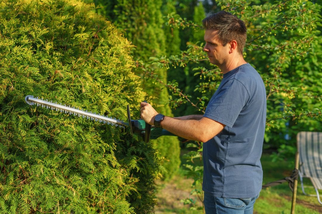 The Hedge Trimmer Comes Out in August — What the Nesting Law Actually Allows
