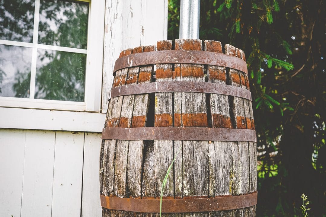Beating the Hosepipe Ban: Water-Saving Garden Kit for August