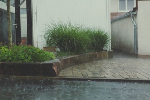 When the Hosepipe Ban Lands: Keeping a Garden Going on Stored Water
