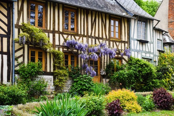 Pruning Wisteria and Vigorous Climbers in Late Winter