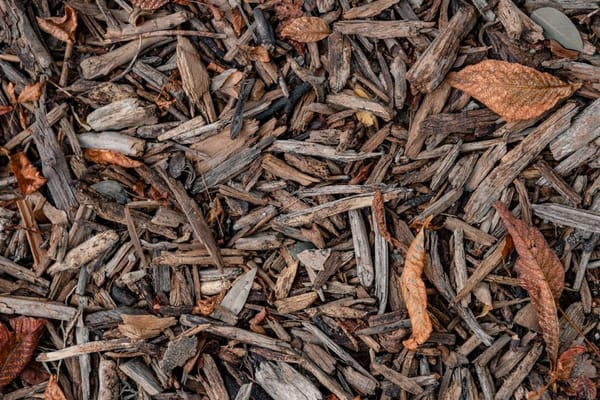 Starting a Compost Heap That Actually Rots Down