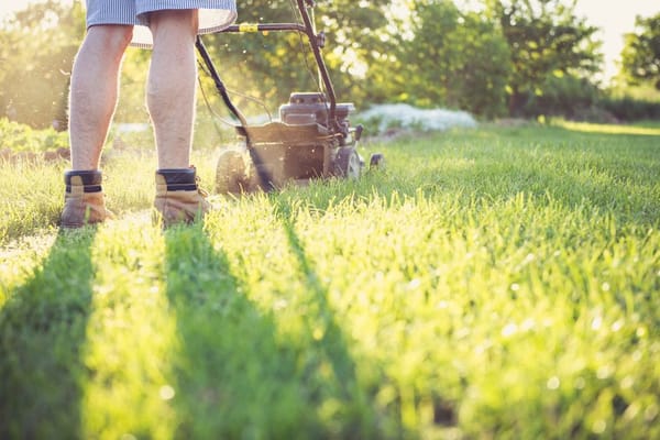 Waking the Lawn Up: Scarifying and Feeding in Spring