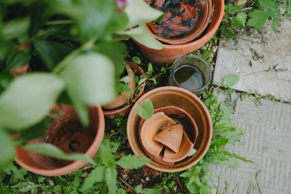 A Herb Garden Right by the Back Door