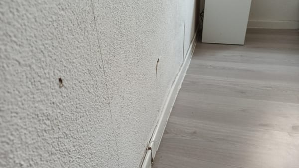 Subsidence Cracks in a Dry Summer: What to Check Before You Panic