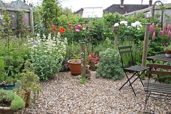 Redesigning a Border for Drought: What Actually Survives a Dry British Summer