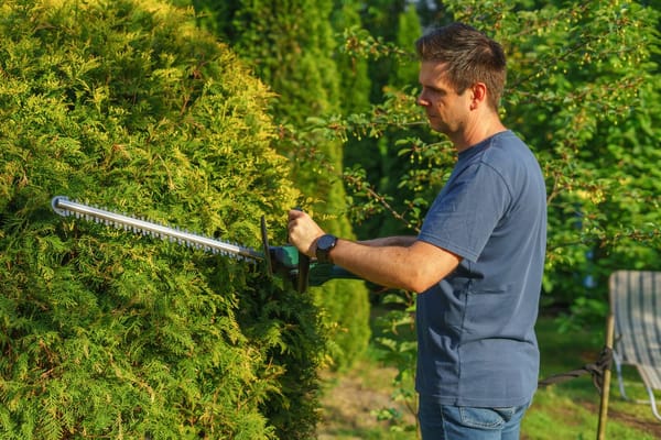 The Hedge Trimmer Comes Out in August — What the Nesting Law Actually Allows