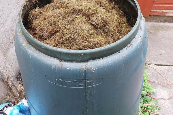 The Compost Bin Nobody's Been Feeding: Sorting It Out Before the Leaves Come Down