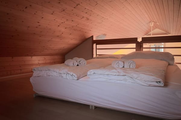 Booking a Loft Insulation Survey in August: Why Doing It Now Beats the Winter Rush