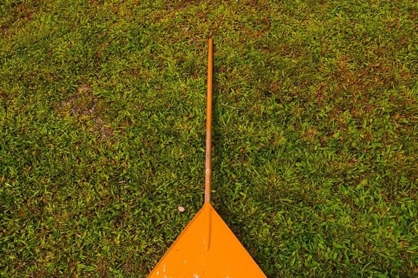 September Lawn Renovation: Scarifying, Overseeding and Feeding Before Autumn Bites