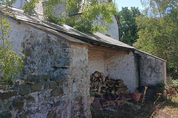 Building a Log Store Before the Firewood Season Starts