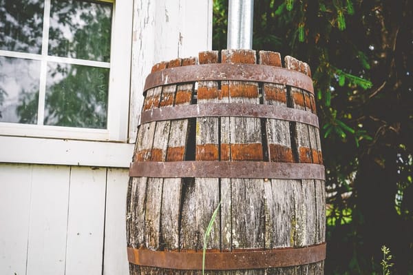Beating the Hosepipe Ban: Water-Saving Garden Kit for August